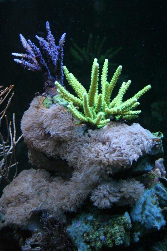 Killikus&reg; Fotographie